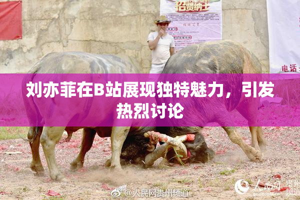 刘亦菲在B站展现独特魅力，引发热烈讨论