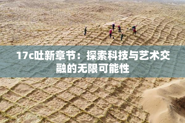 17c吐新章节：探索科技与艺术交融的无限可能性