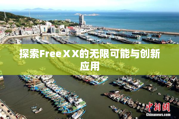探索FreeⅩX的无限可能与创新应用