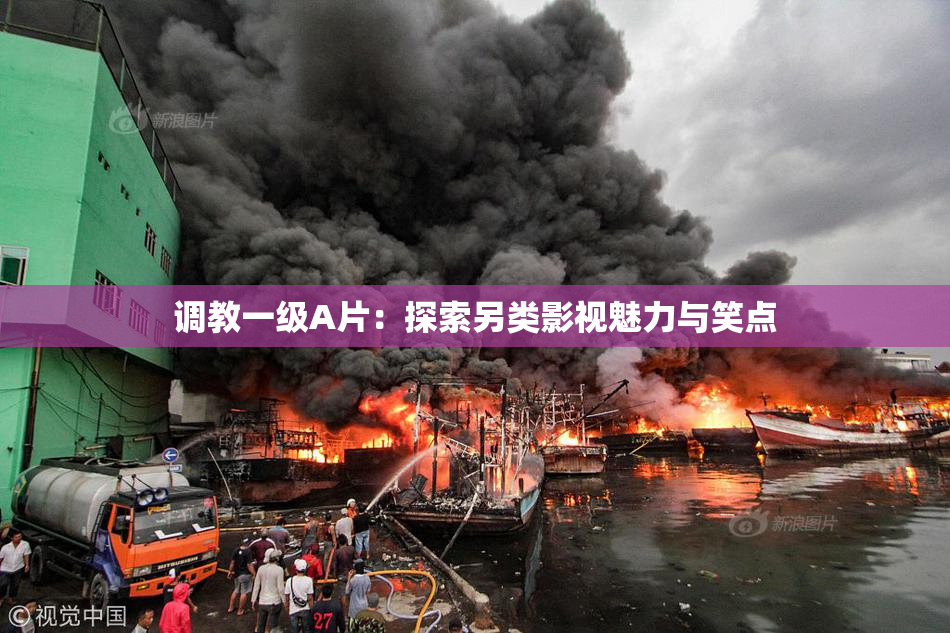 调教一级A片：探索另类影视魅力与笑点
