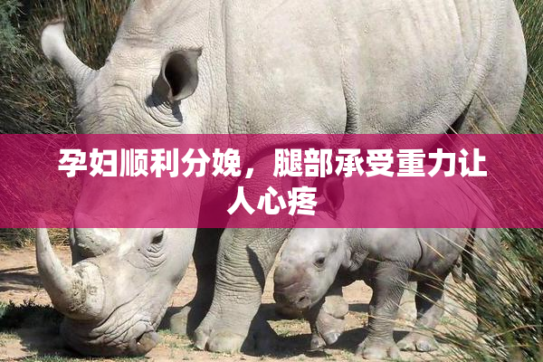 孕妇顺利分娩，腿部承受重力让人心疼