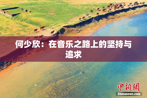 何少欣：在音乐之路上的坚持与追求