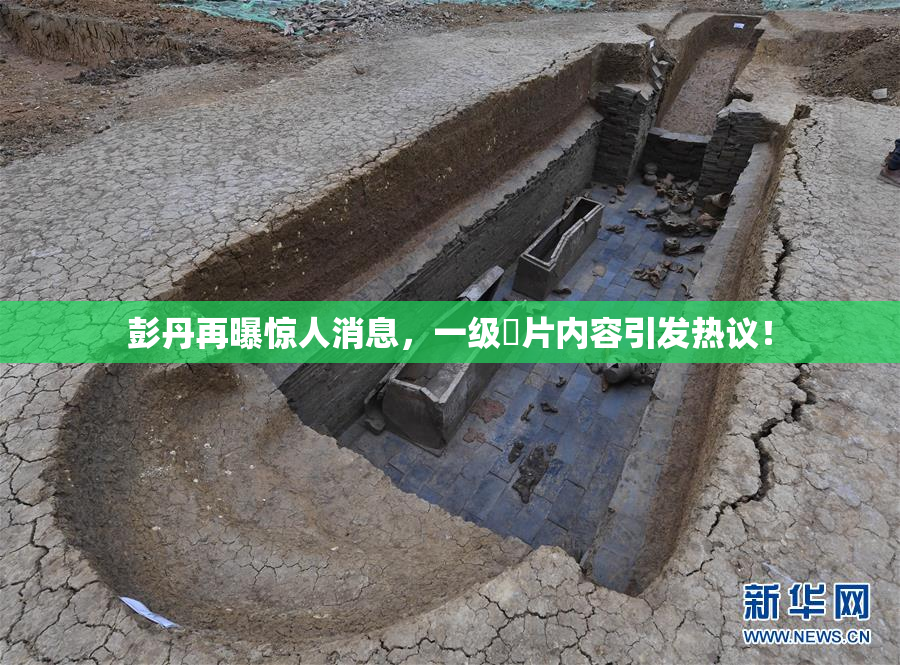 彭丹再曝惊人消息，一级婬片内容引发热议！