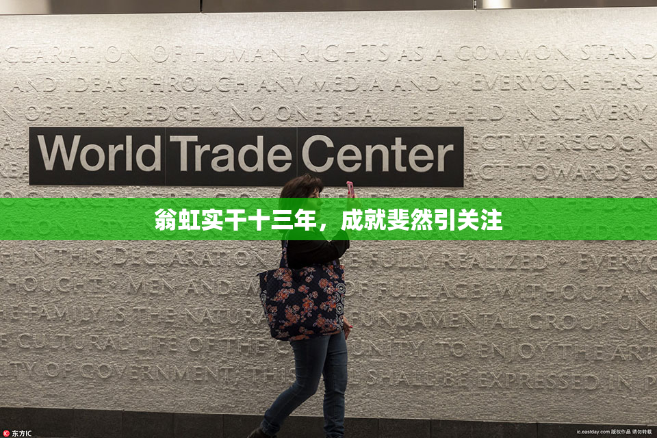 翁虹实干十三年，成就斐然引关注