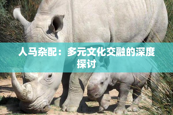 人马杂配：多元文化交融的深度探讨
