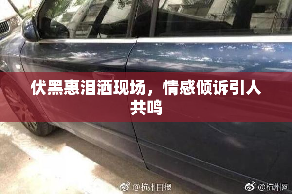 伏黑惠泪洒现场，情感倾诉引人共鸣