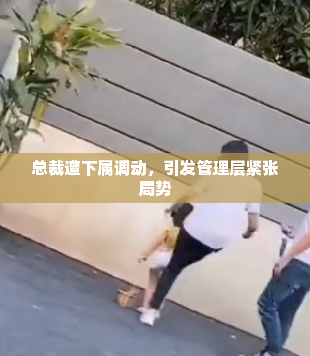 总裁遭下属调动，引发管理层紧张局势