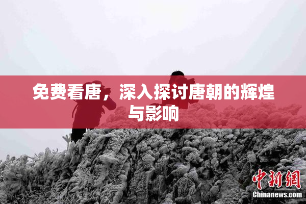 免费看唐，深入探讨唐朝的辉煌与影响