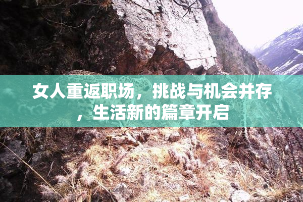女人重返职场，挑战与机会并存，生活新的篇章开启