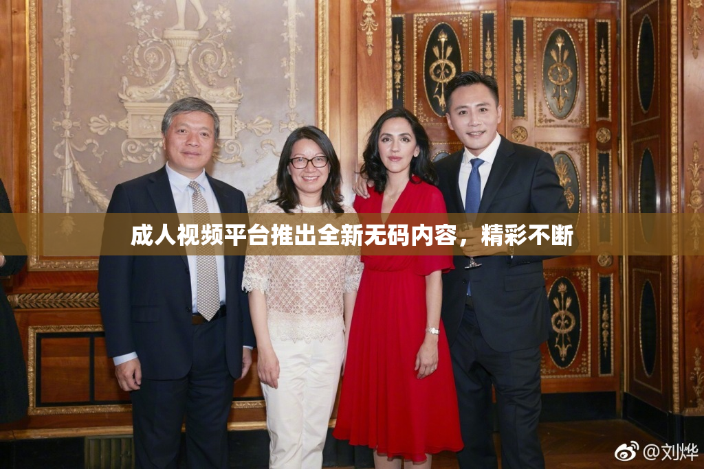 成人视频平台推出全新无码内容，精彩不断