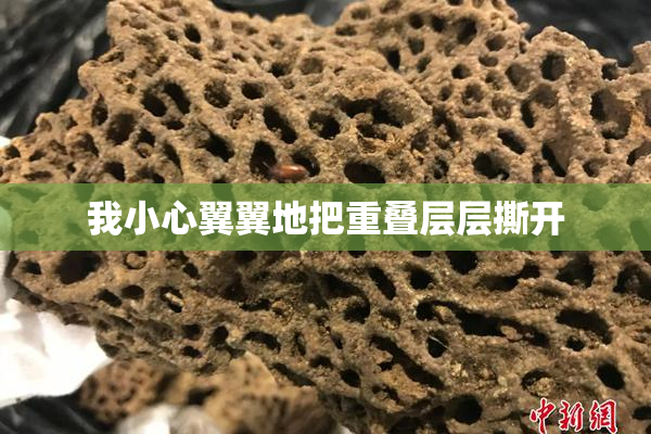 我小心翼翼地把重叠层层撕开