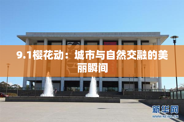 9.1樱花动：城市与自然交融的美丽瞬间