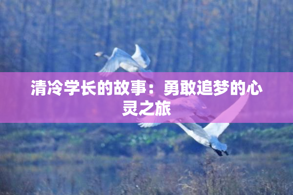 清冷学长的故事：勇敢追梦的心灵之旅