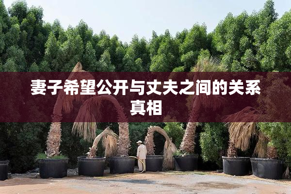 妻子希望公开与丈夫之间的关系真相