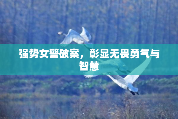 强势女警破案，彰显无畏勇气与智慧