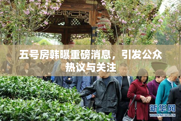 五号房韩曝重磅消息，引发公众热议与关注