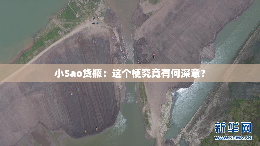 小Sao货撅：这个梗究竟有何深意？