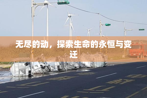 无尽的动，探索生命的永恒与变迁