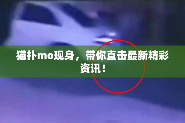 猫扑mo现身，带你直击最新精彩资讯！