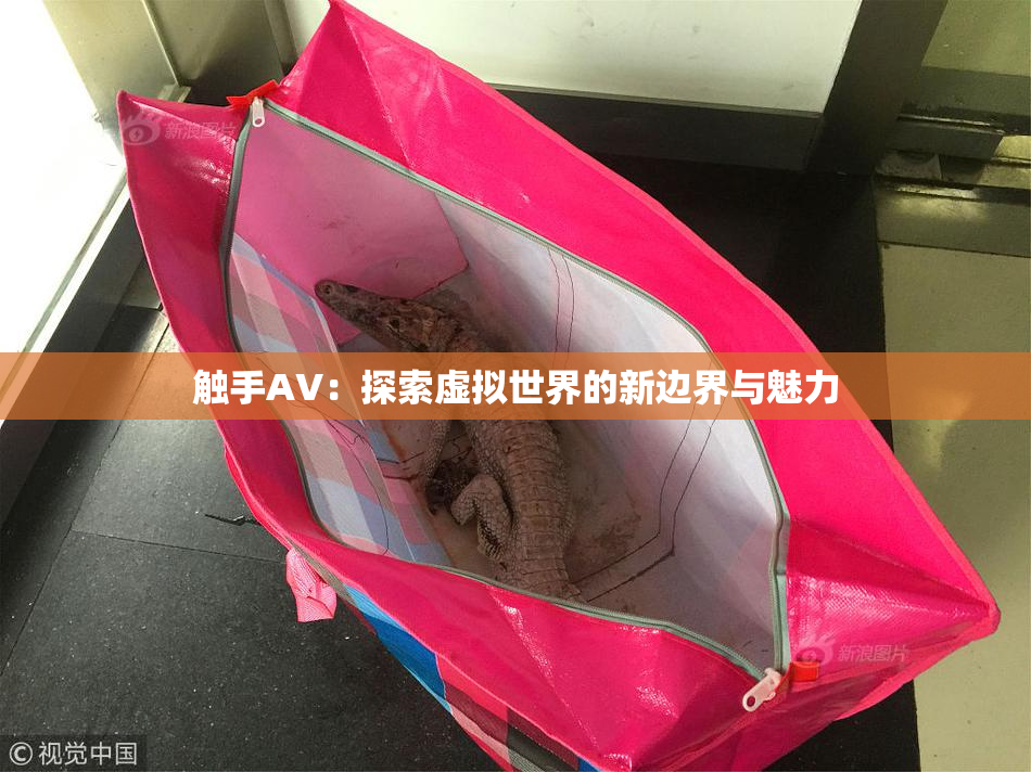 触手AV：探索虚拟世界的新边界与魅力