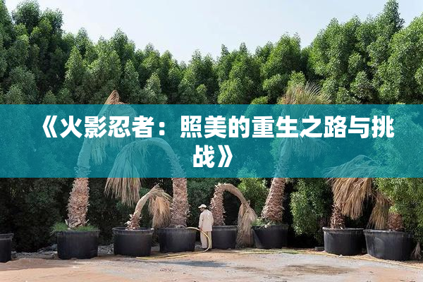 《火影忍者：照美的重生之路与挑战》