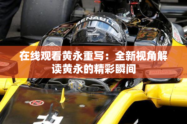 在线观看黄永重写：全新视角解读黄永的精彩瞬间