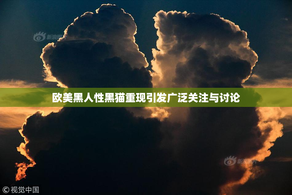 欧美黑人性黑猫重现引发广泛关注与讨论