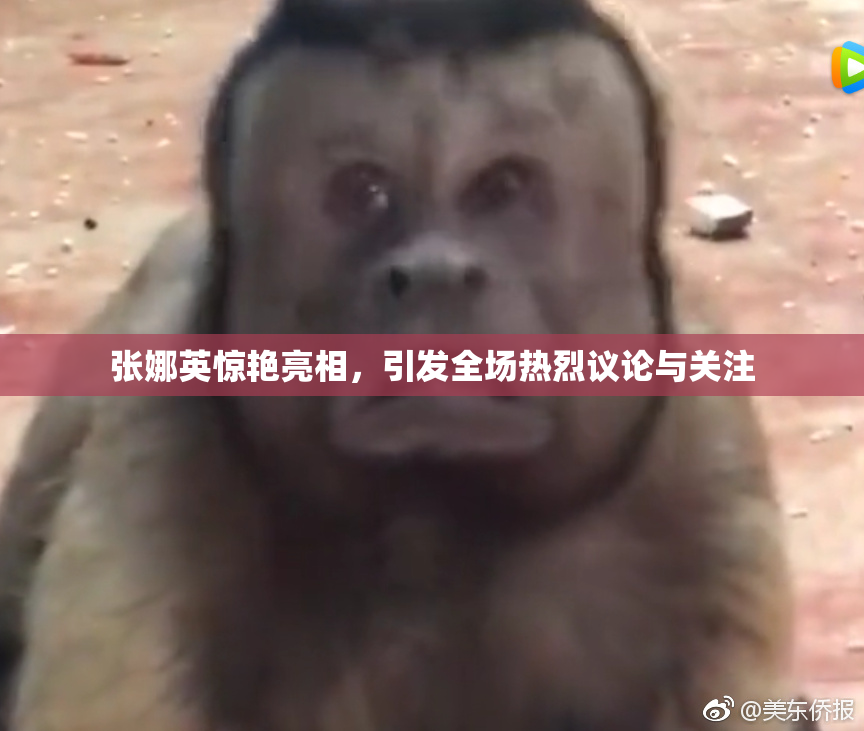 张娜英惊艳亮相，引发全场热烈议论与关注