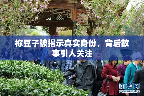 祢豆子被揭示真实身份，背后故事引人关注