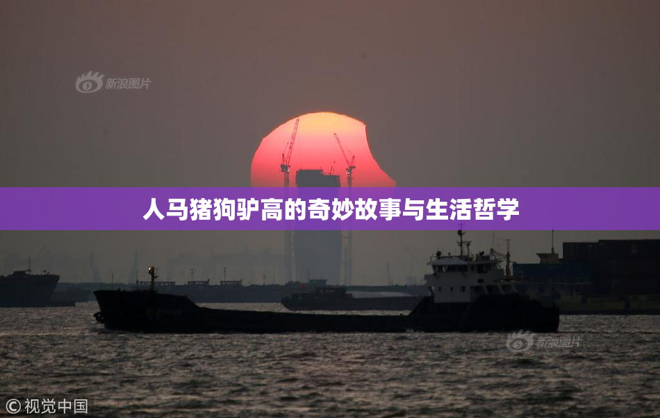 人马猪狗驴高的奇妙故事与生活哲学