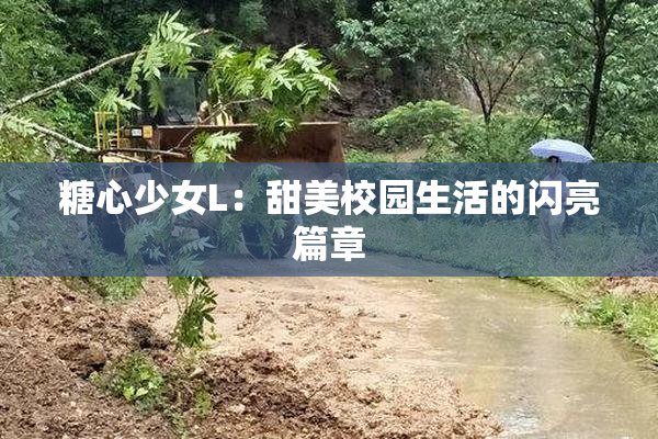 糖心少女L：甜美校园生活的闪亮篇章
