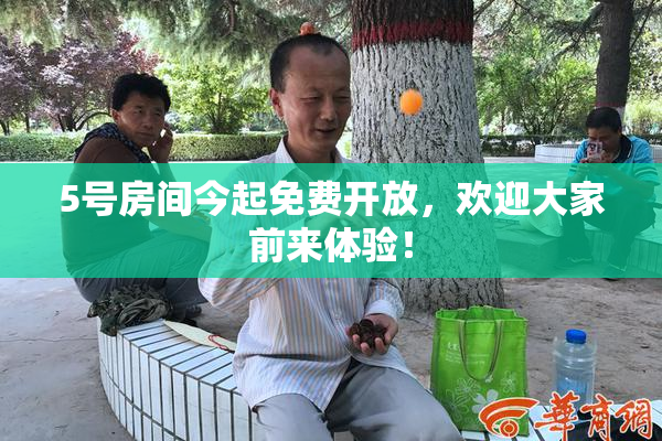 5号房间今起免费开放，欢迎大家前来体验！