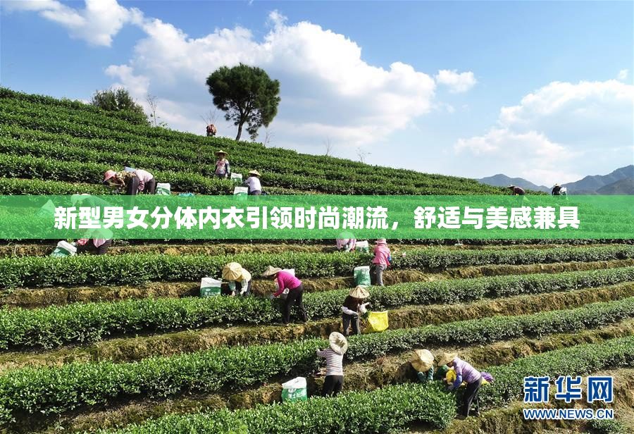 新型男女分体内衣引领时尚潮流，舒适与美感兼具