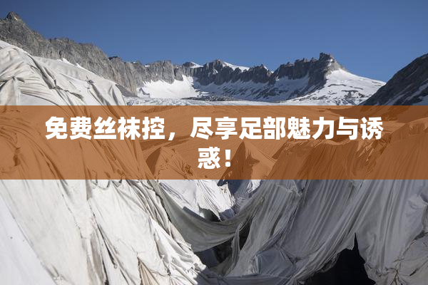 免费丝袜控，尽享足部魅力与诱惑！