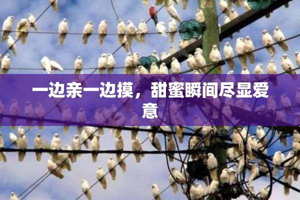 一边亲一边摸，甜蜜瞬间尽显爱意