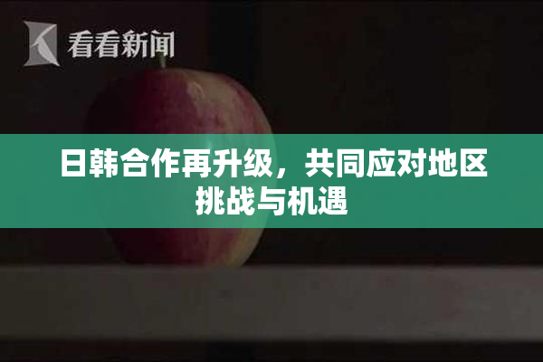 日韩合作再升级，共同应对地区挑战与机遇