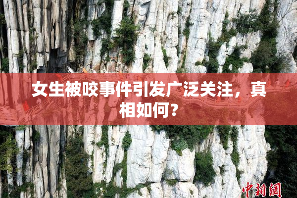 女生被咬事件引发广泛关注，真相如何？