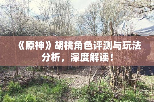 《原神》胡桃角色评测与玩法分析，深度解读！