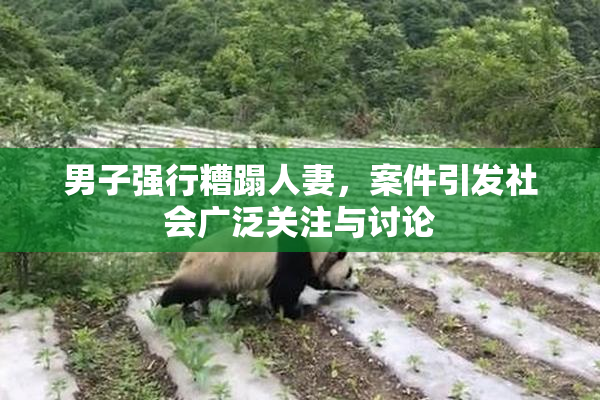 男子强行糟蹋人妻，案件引发社会广泛关注与讨论