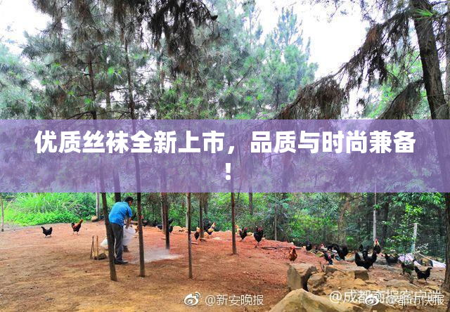优质丝袜全新上市，品质与时尚兼备！