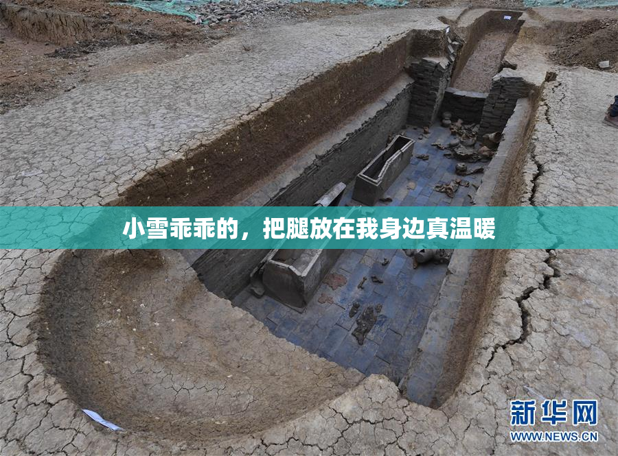 小雪乖乖的，把腿放在我身边真温暖