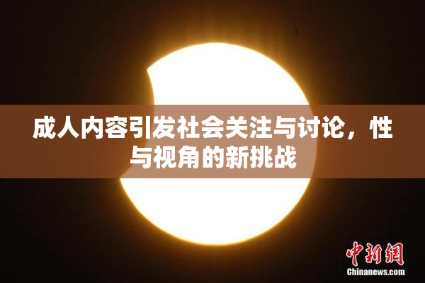 成人内容引发社会关注与讨论，性与视角的新挑战
