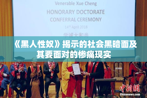 《黑人性奴》揭示的社会黑暗面及其要面对的惨痛现实
