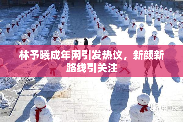 林予曦成年网引发热议，新颜新路线引关注
