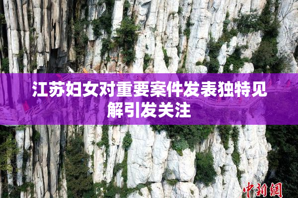江苏妇女对重要案件发表独特见解引发关注