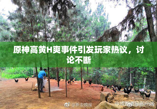 原神高黄H爽事件引发玩家热议，讨论不断