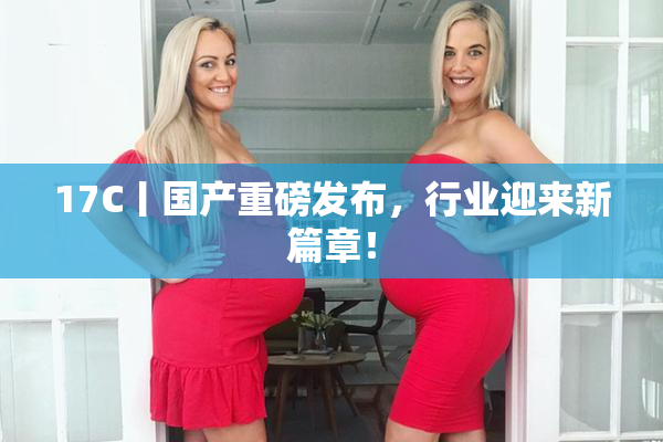 17C丨国产重磅发布，行业迎来新篇章！