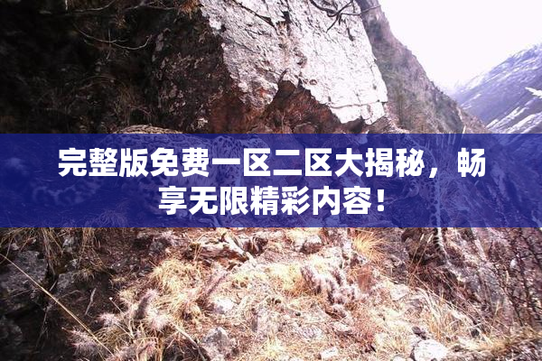 完整版免费一区二区大揭秘，畅享无限精彩内容！