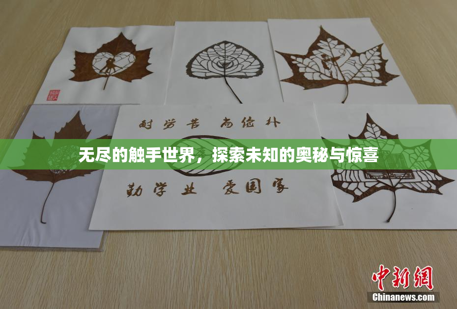 无尽的触手世界，探索未知的奥秘与惊喜