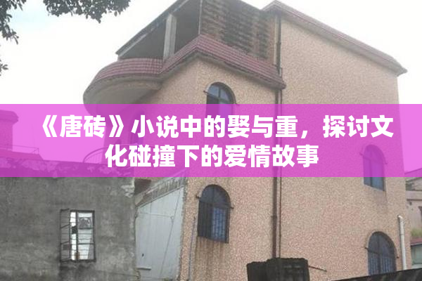 《唐砖》小说中的娶与重，探讨文化碰撞下的爱情故事